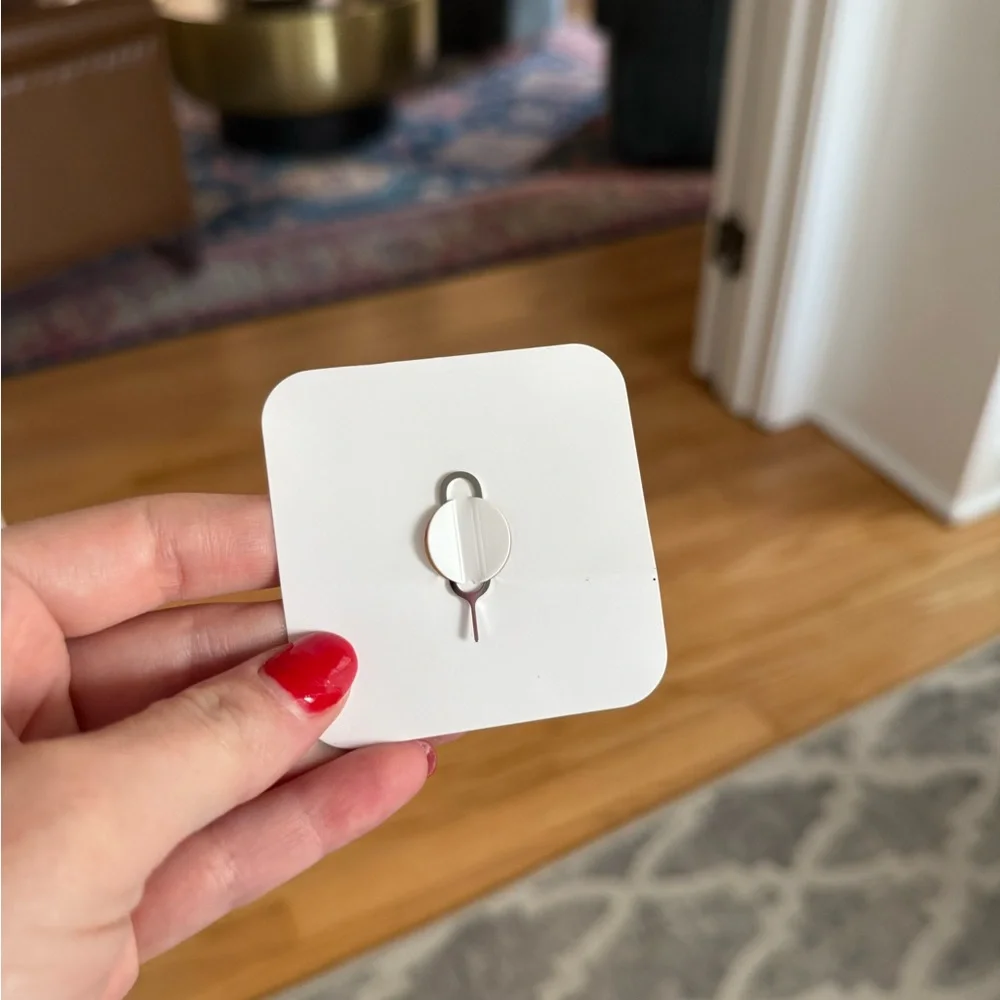 SIM Card Removal Tool Apple